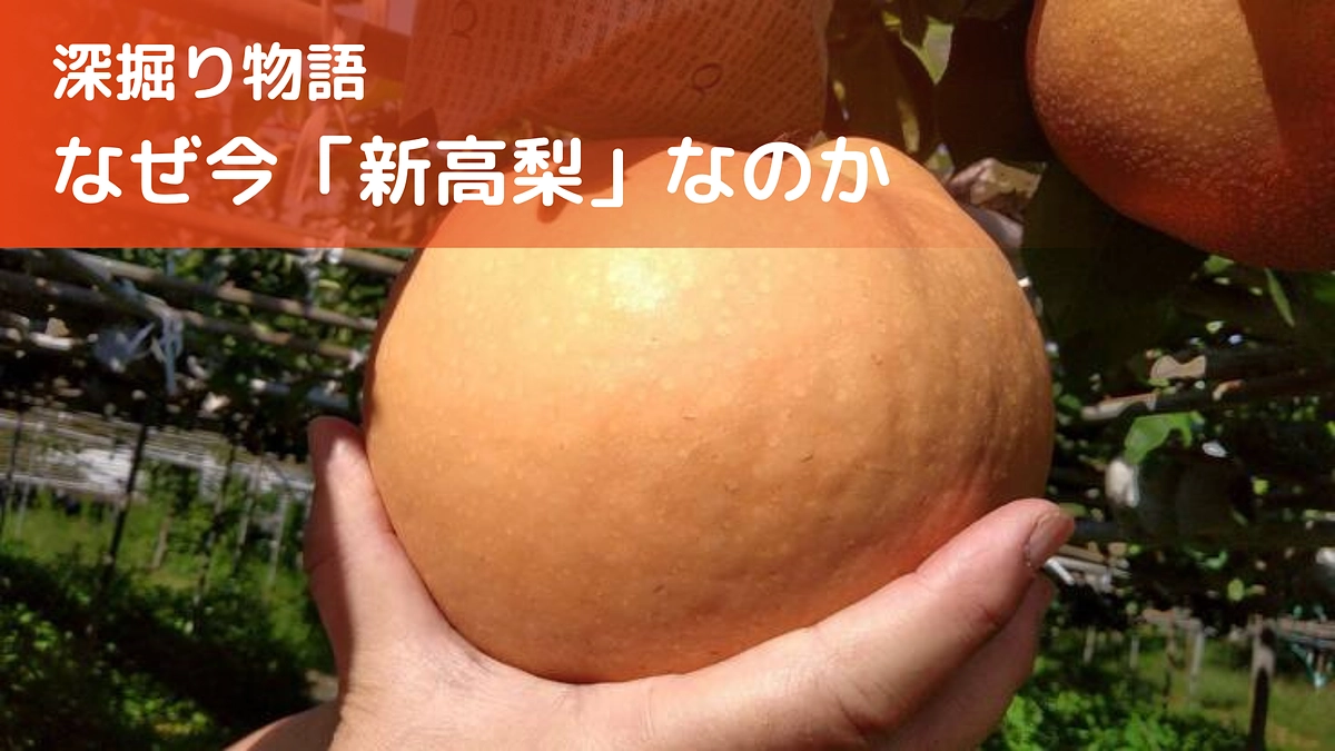 深掘り物語〜なぜ今「新高梨」なのか