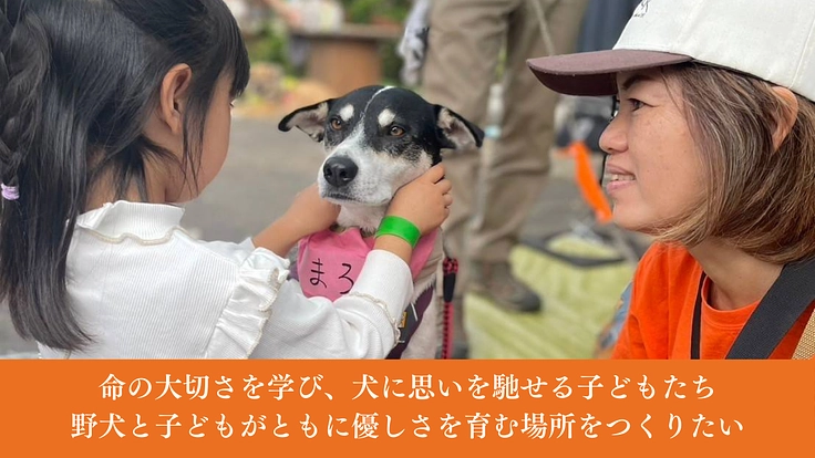 神栖から収容犬をゼロに。野犬と子どもがともに成長する居場所の開設へ 6枚目