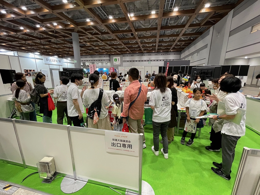 朝日新聞Sippoが開催する保護猫譲渡会の会場から、現地での様子をレポート！