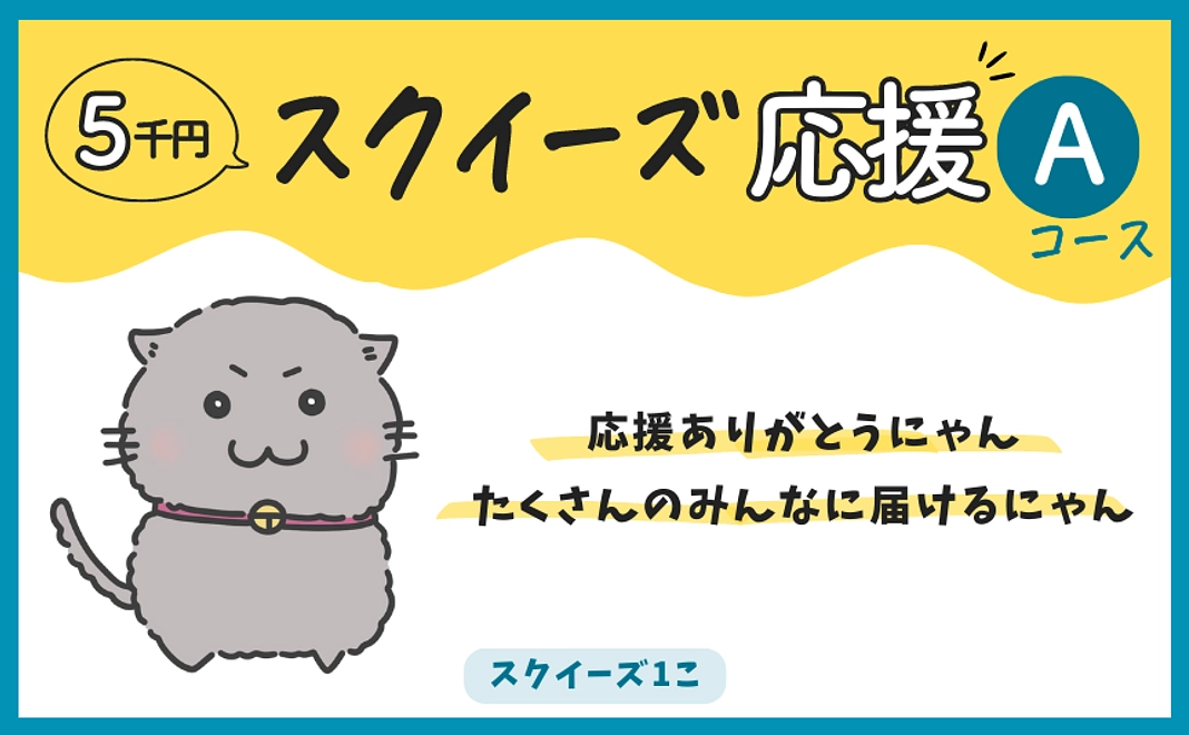 スクイーズ応援コースA