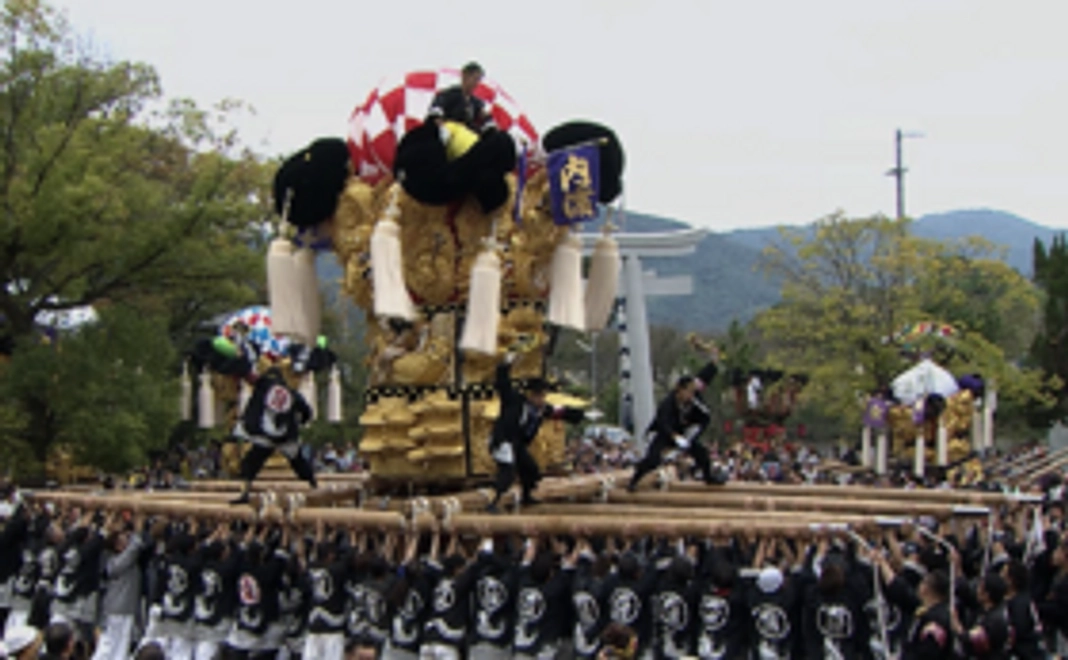 お気軽応援コース