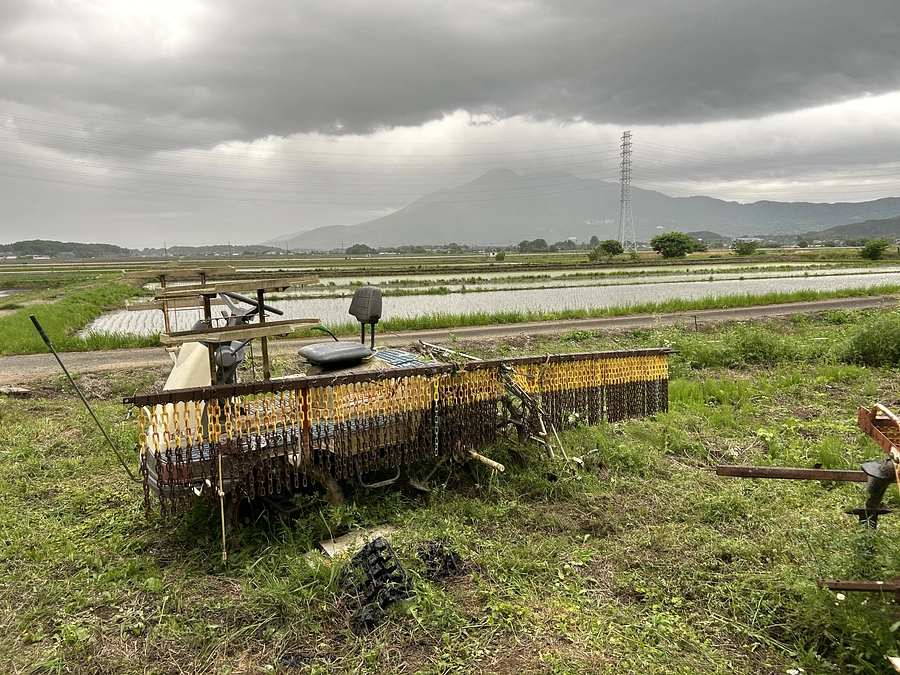 二十四節気 立夏、七十二候 蛙始鳴(かわずはじめてなく)