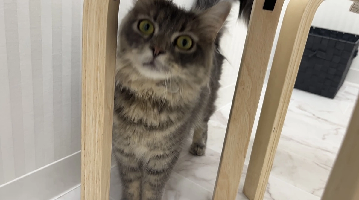 投薬23日目　血液検査結果