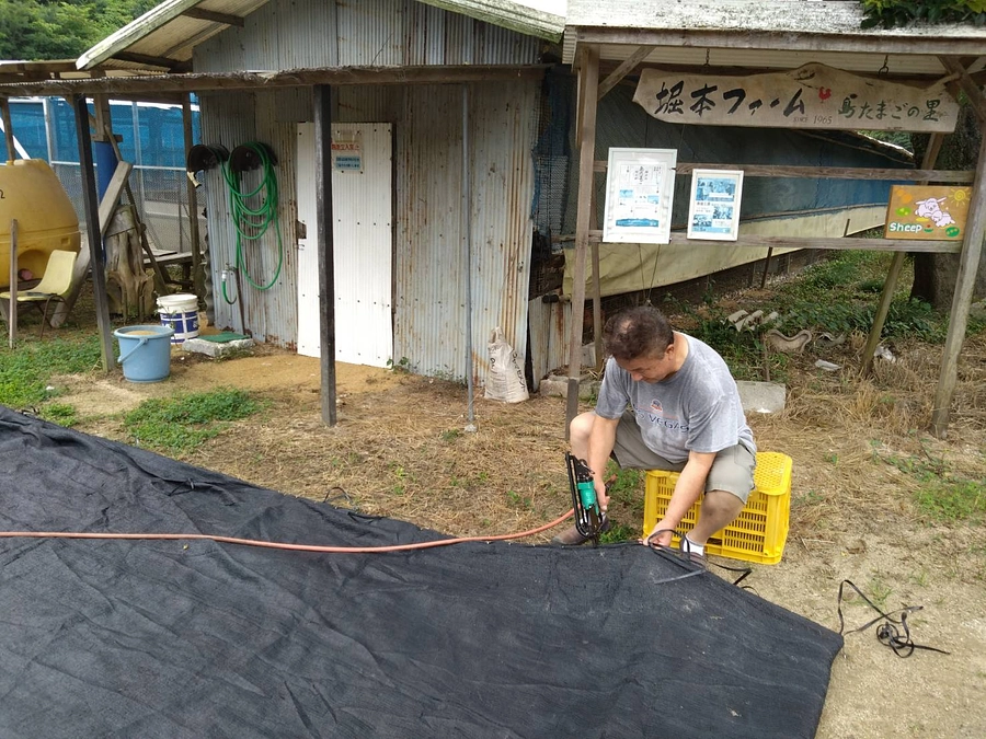 連日の暑さ、鶏たちにとって過酷な状況です💦