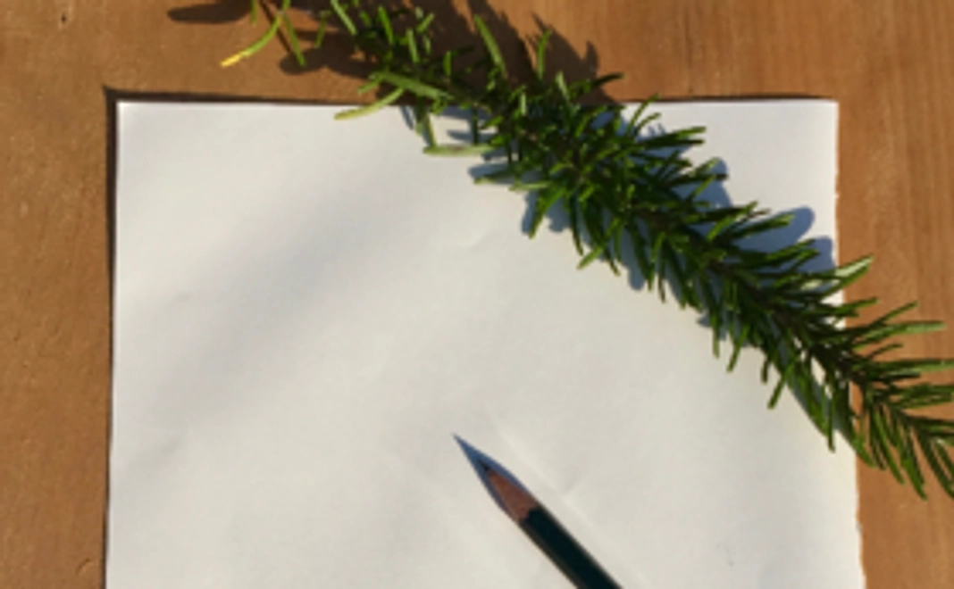 感謝の手紙をお送りします！