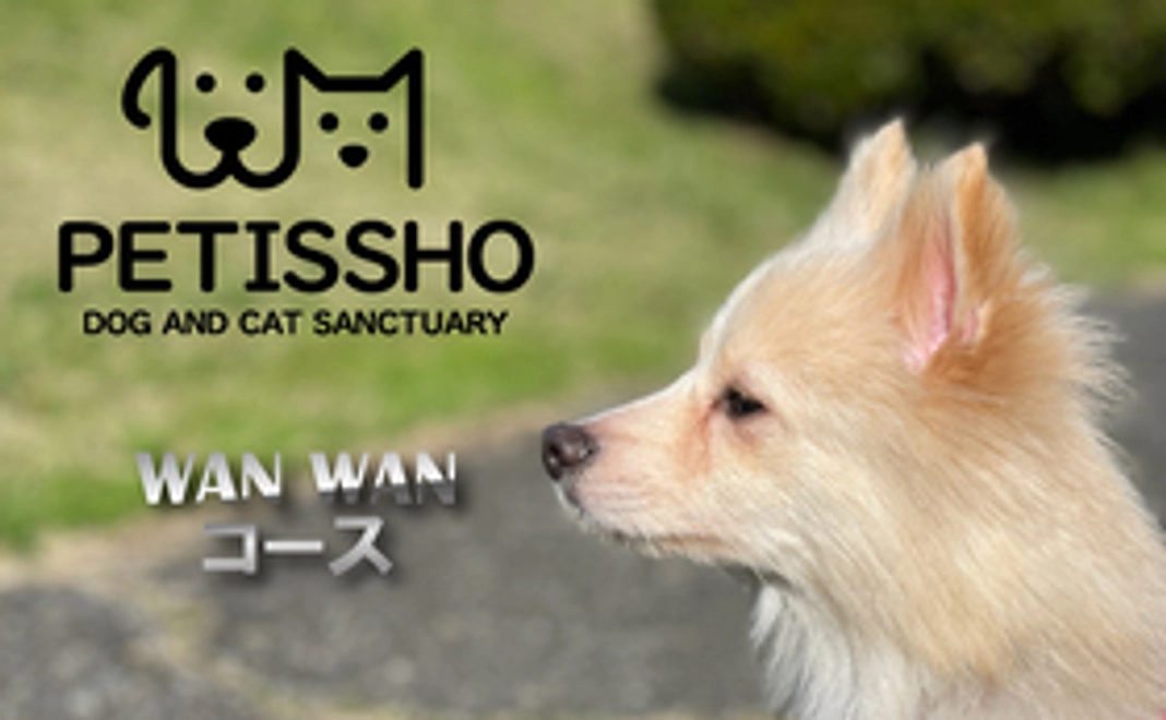 ペティッショ サポーター わんわんコース