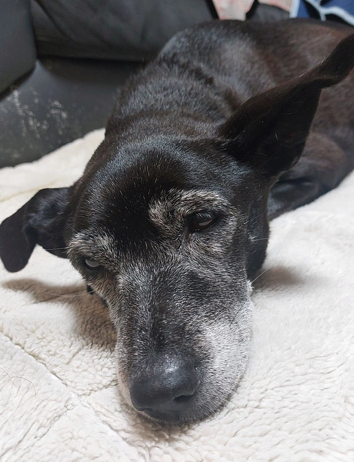 家族で動揺しています