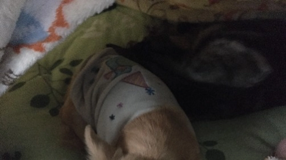 あったかいの…？