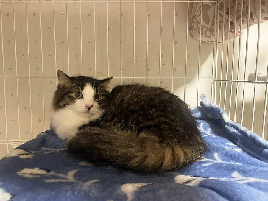 ２月１4日は、伯爵のお届けでした♪