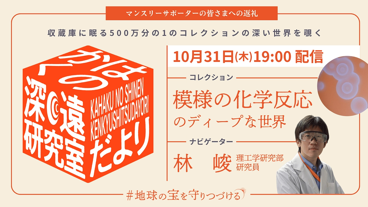 かはくの深遠研究室だより｜file.4 林峻先生が語る、模様の化学反応のディープな世界