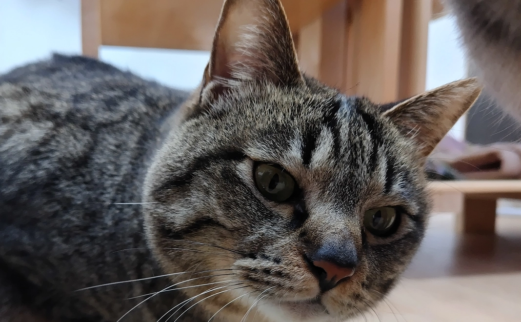 感謝のメールをお送りさせて頂きます。