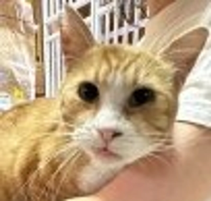 シェルター風景