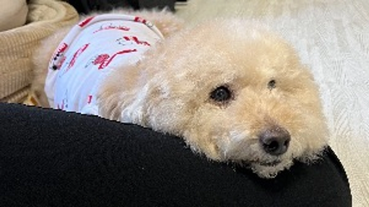 達成率3%と厳しい状況です…