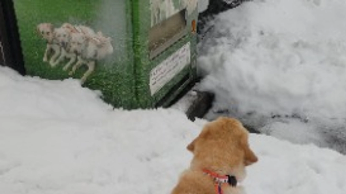 体調が悪いです