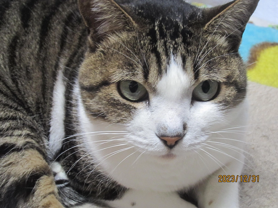 【最終日になりました】年末のご挨拶