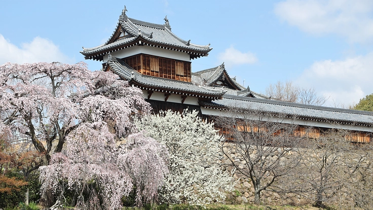 大和の女性が活躍するきっかけとなる場を創り出したい