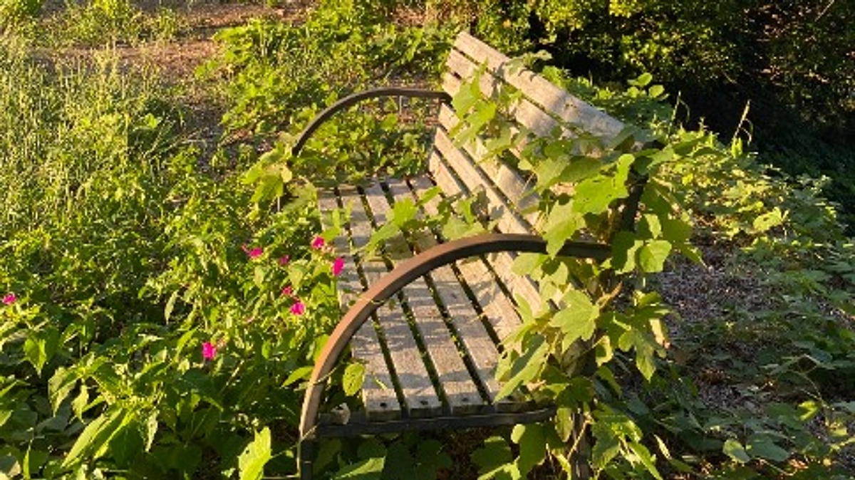 【作品展示候補】　御崎灯台とベンチをきれいに。