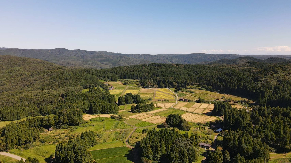 能登の写真をご提供いただきました