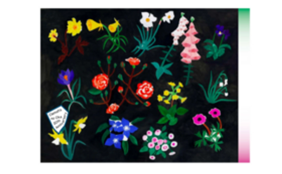 スタンダードコース