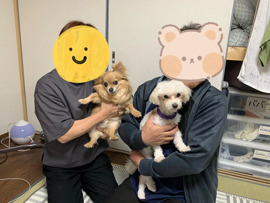 今日は譲渡会でした✨