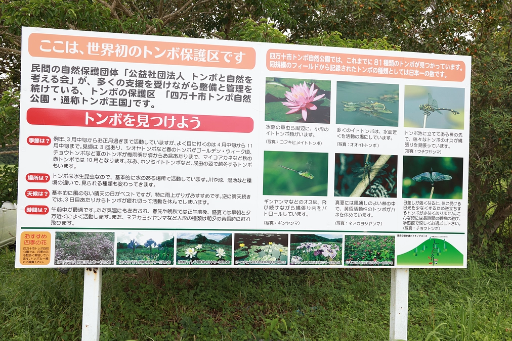 トンボガイド看板が出来ました！