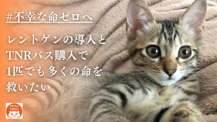 こぼれ落ちていく命を1つでも多く救う。動物病院の設備を拡充