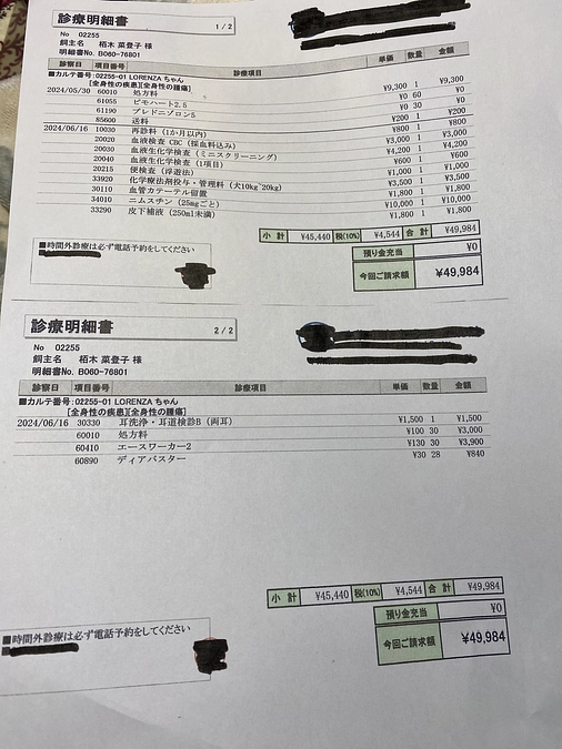 抗がん剤治療　ニムスニン　して来ました