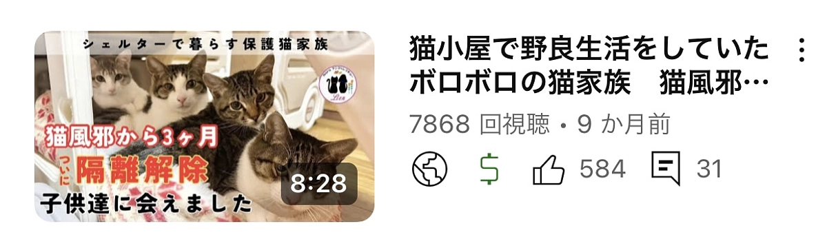 猫風邪発症から3ヶ月ようやく隔離解除できました