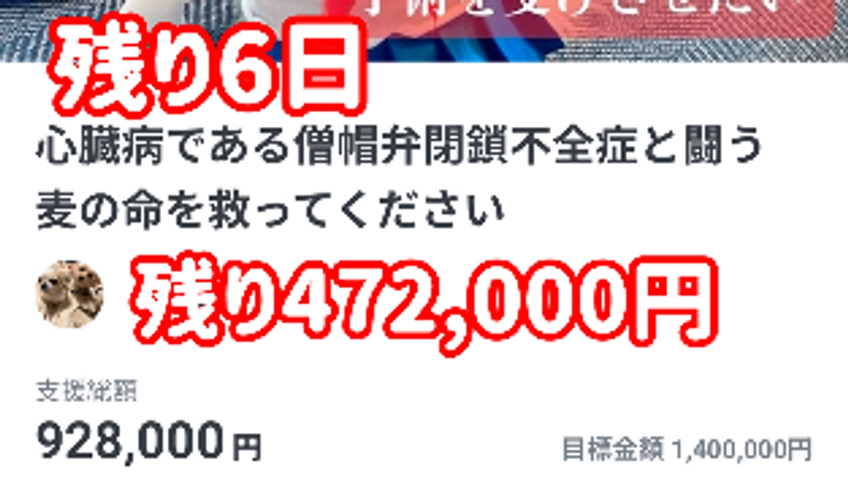 残り6日　達成率66%