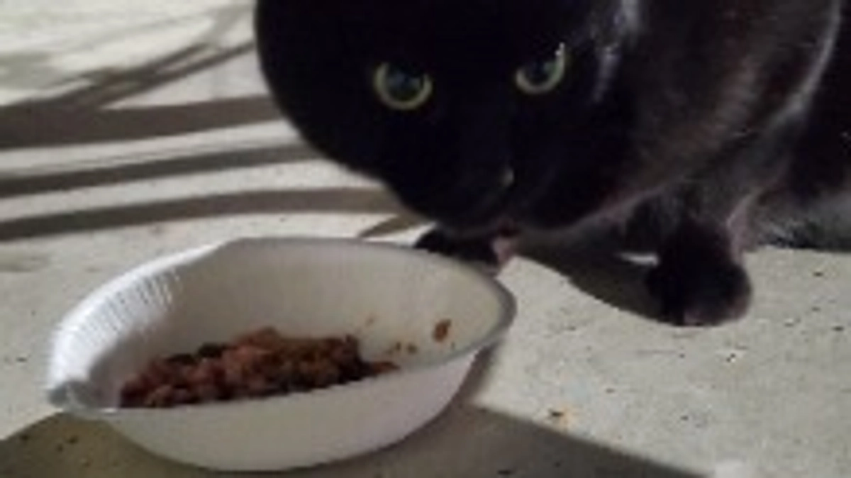 残り29分となりましたが、ネクストゴール達成させていただいており、感謝しかありません。