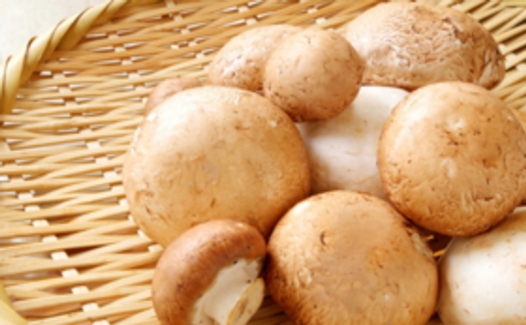 【食べて応援】マッシュルーム大盛りパックと、野菜セット（小）をお届けします