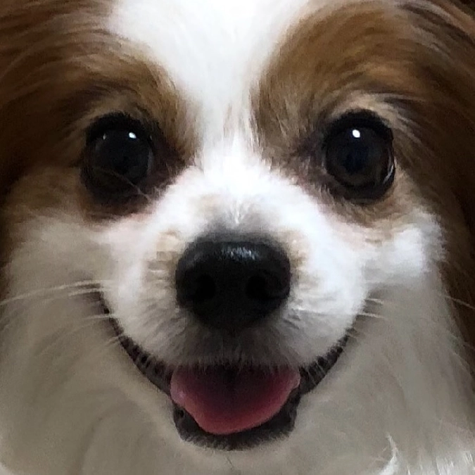 セカンドステージNEXTゴールを設定