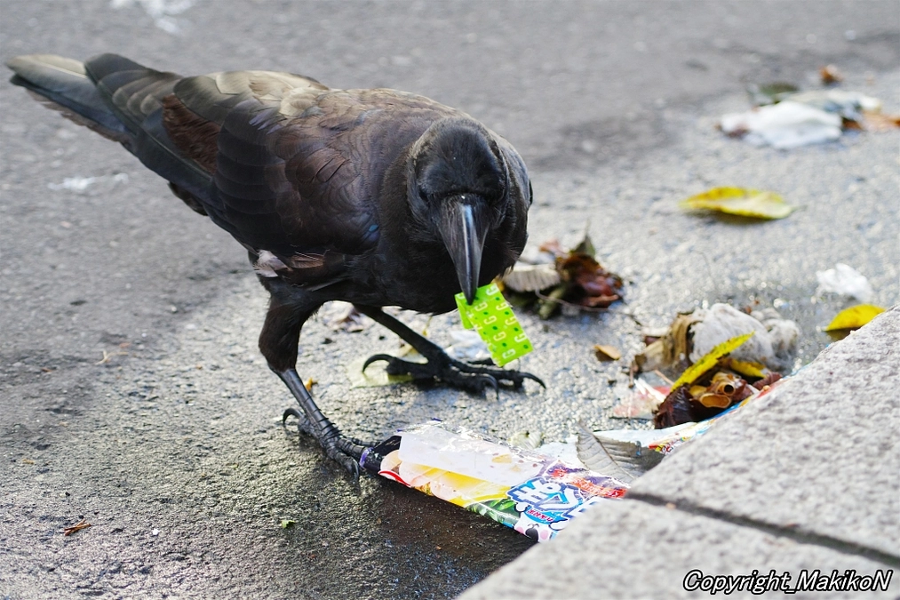 入院してしまいました