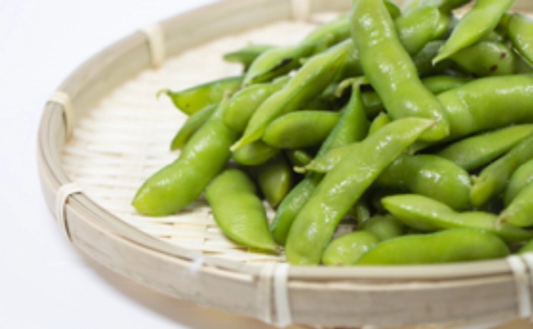 共同圃場収穫物の分配　丹波の黒豆（枝豆）