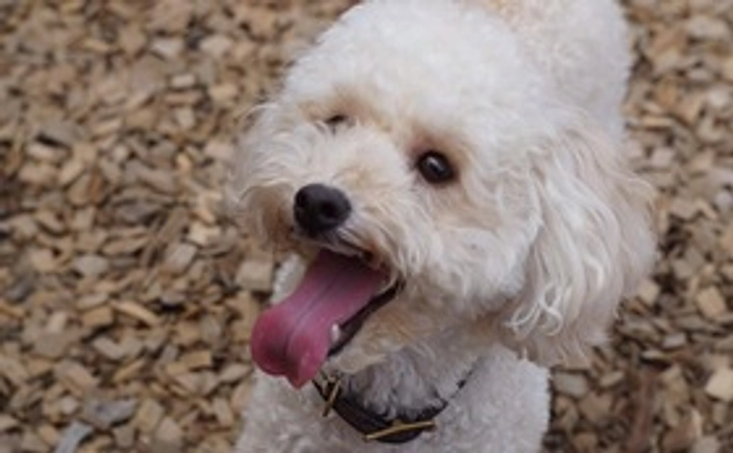 ご支援感謝致します。②