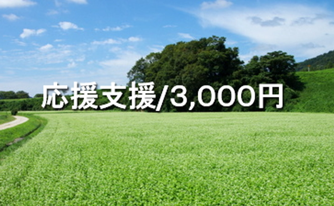 応援支援/3,000円