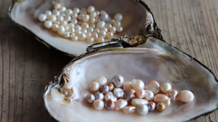 中山道・守山宿に琵琶湖パールの魅力発信拠点を作りたい！