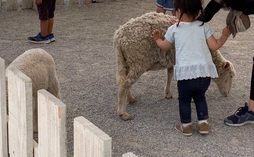無料で動物に触れ合える場所作り支援！