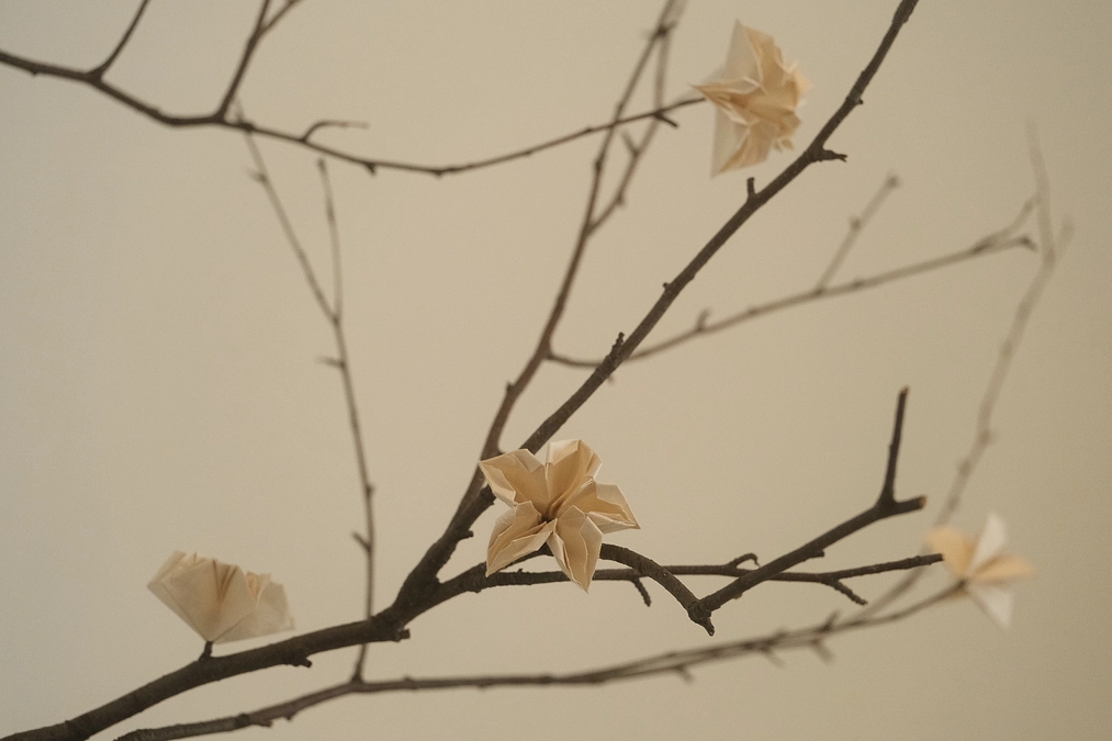 開始から5日、20％を超えました！心温まる応援を本当にありがとうございます。