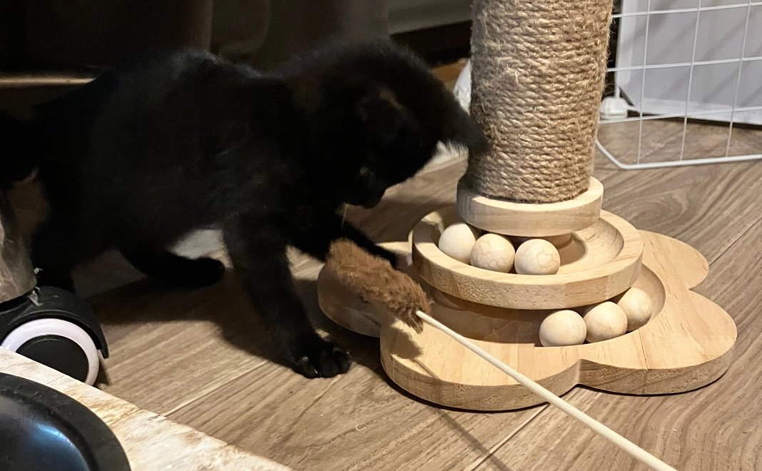 お気持ちコース