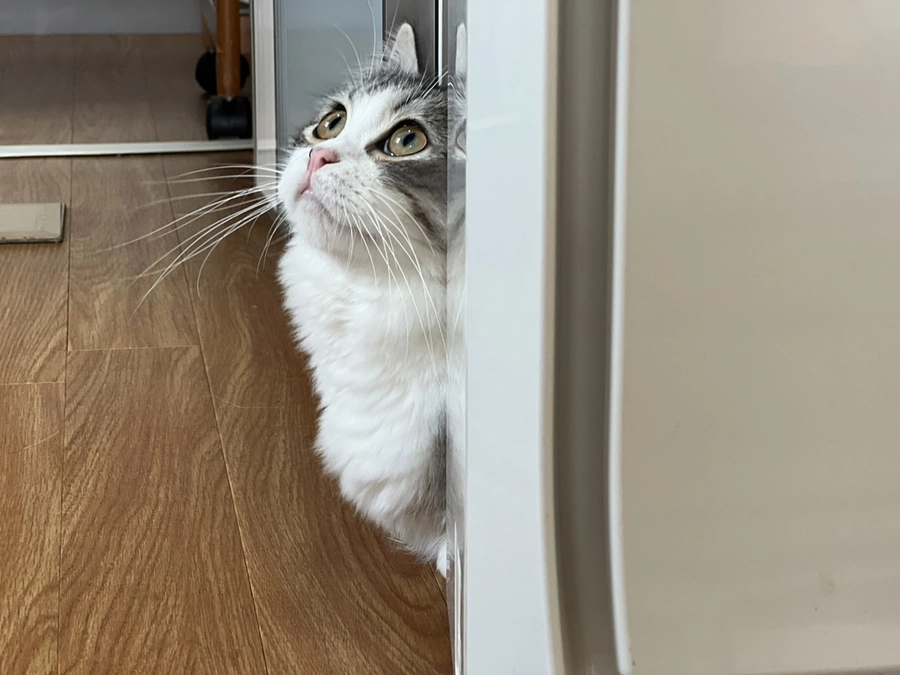 23.24.日目治療のココロ