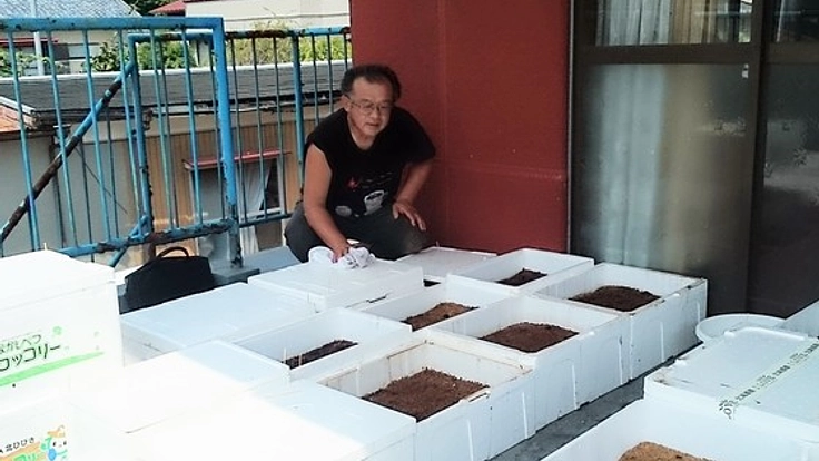 障がい者手帳を持たない方へ就労支援！室内野菜工場をつくりたい