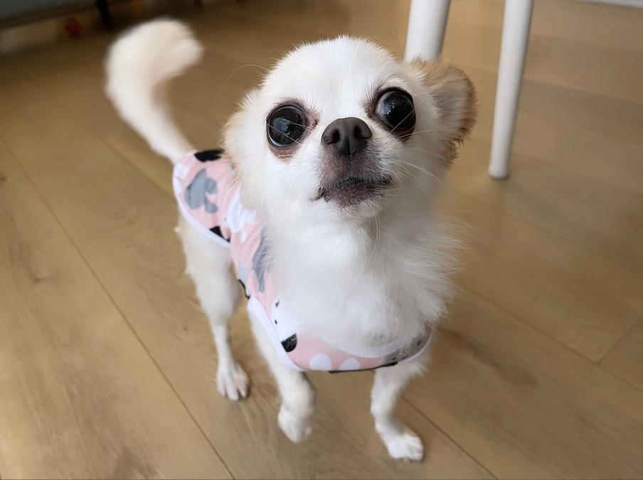 いつもありがとうございます🌟