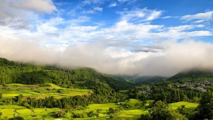 高知県本山町で田んぼアートを実施し棚田の存続に繋げたい！