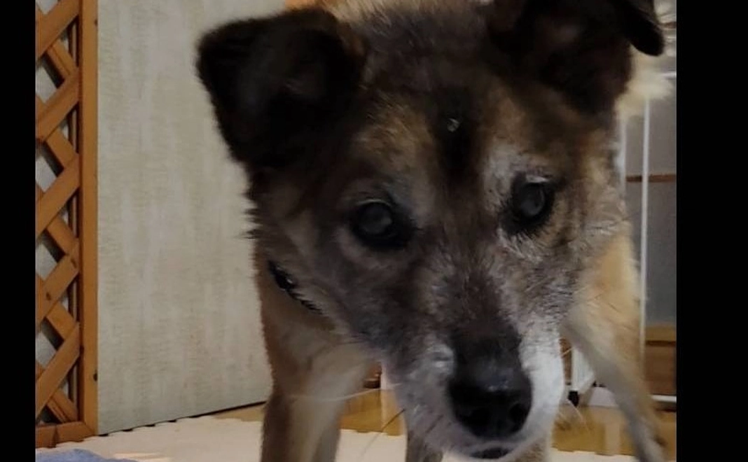 体調不良時に迷わずすぐに病院にいけますように