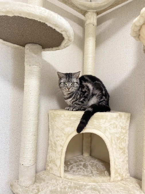 2023.5.7⭐️ #闘病生活 19日目