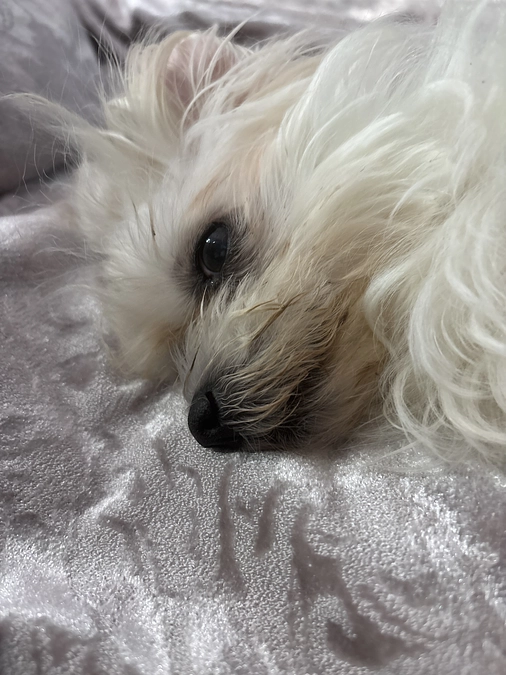 残り58日‼️ご支援への御礼