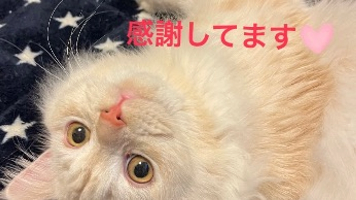 ご支援いただきました！