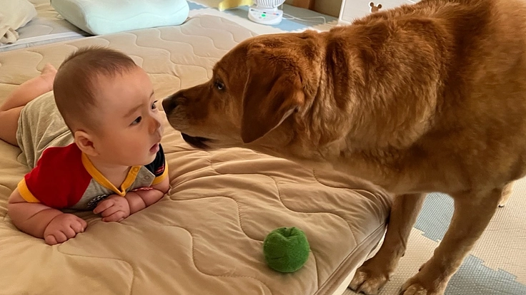 ボクのお姉ちゃんを応援してください！