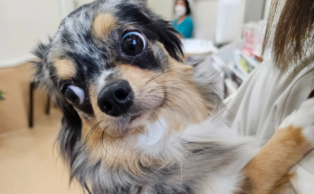 朝陽に支援お願い致します①